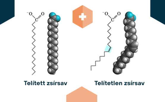 mi a koleszterin
