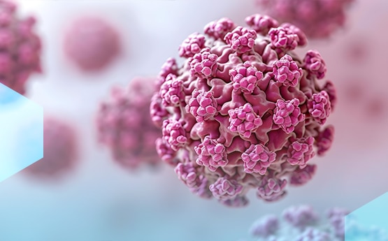 hogyan terjed a hpv