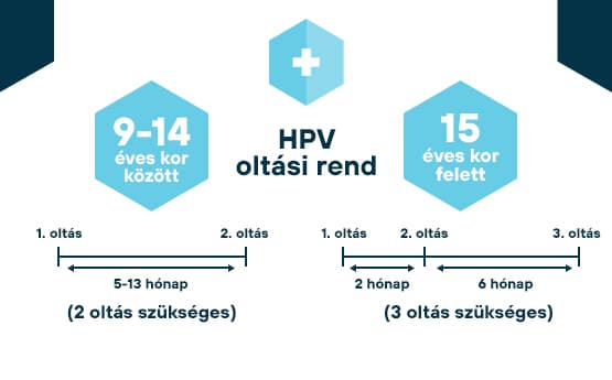 hpv oltási rend