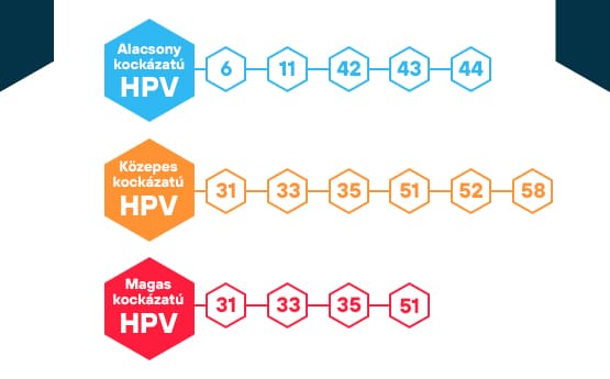 hpv típusai