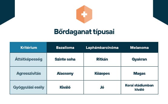 bőrdaganat típusai